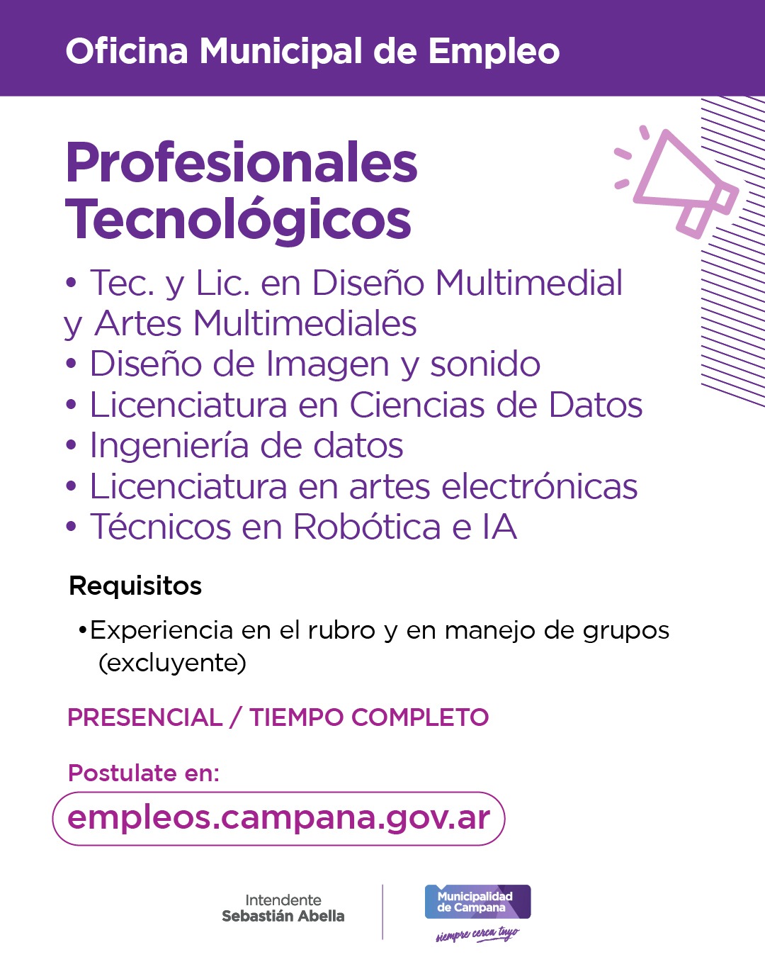 Profesionales tecnológicoa (Ingeniería en sistemas, Ingeniería en informática, Licenciatura en Ciencias de la Computación)