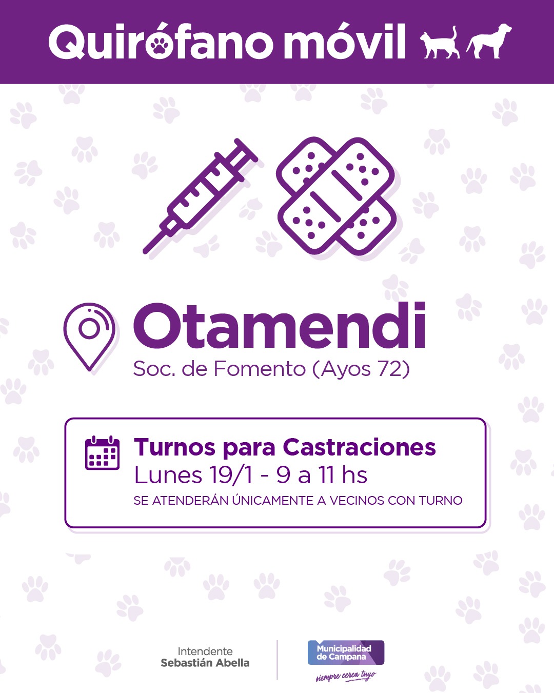 Turnos para castración en Otamendi: anotá cuándo y dónde buscar el tuyo