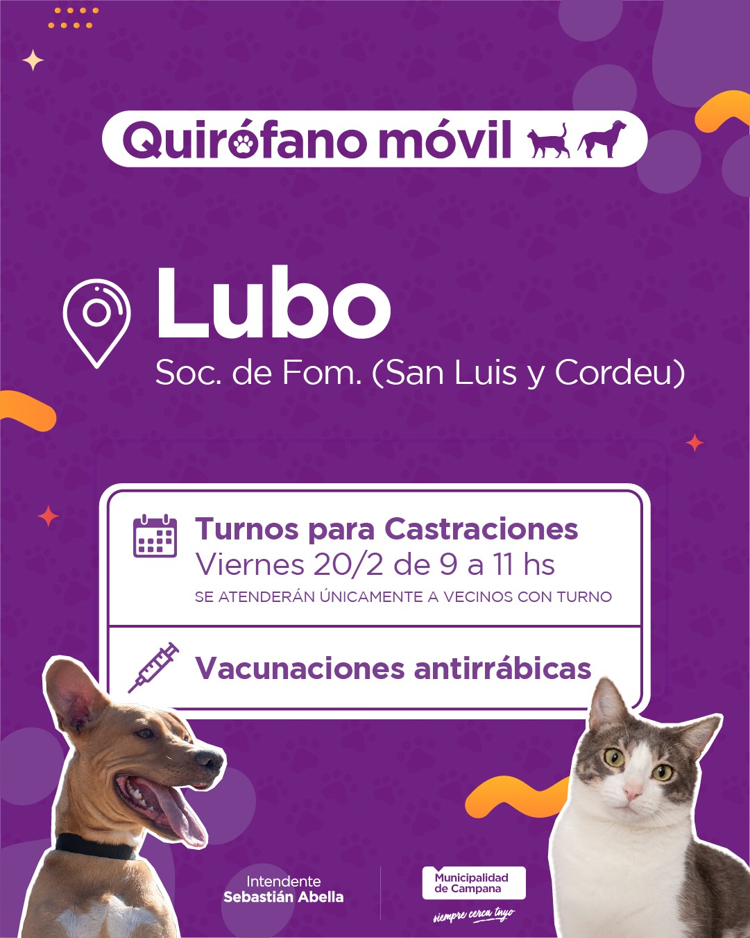 ¡Anotá a tu mascota! Este viernes dan turnos de castración gratuita en barrio Lubo