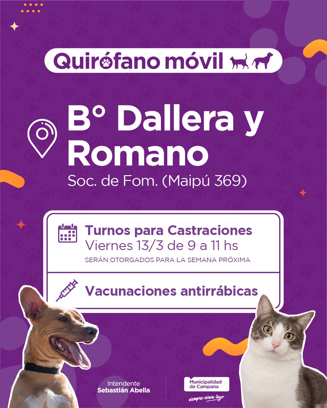 Castración gratuita en Campana: este viernes entregan turnos para los barrios Dallera y Romano