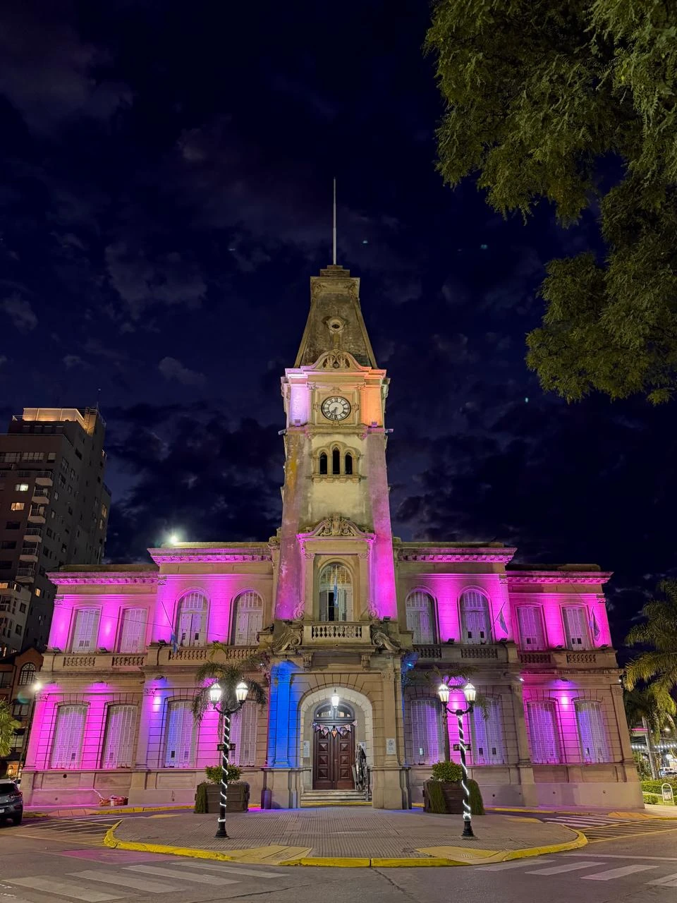 ¿Por qué el Palacio Municipal de Campana se iluminó de púrpura este martes?
