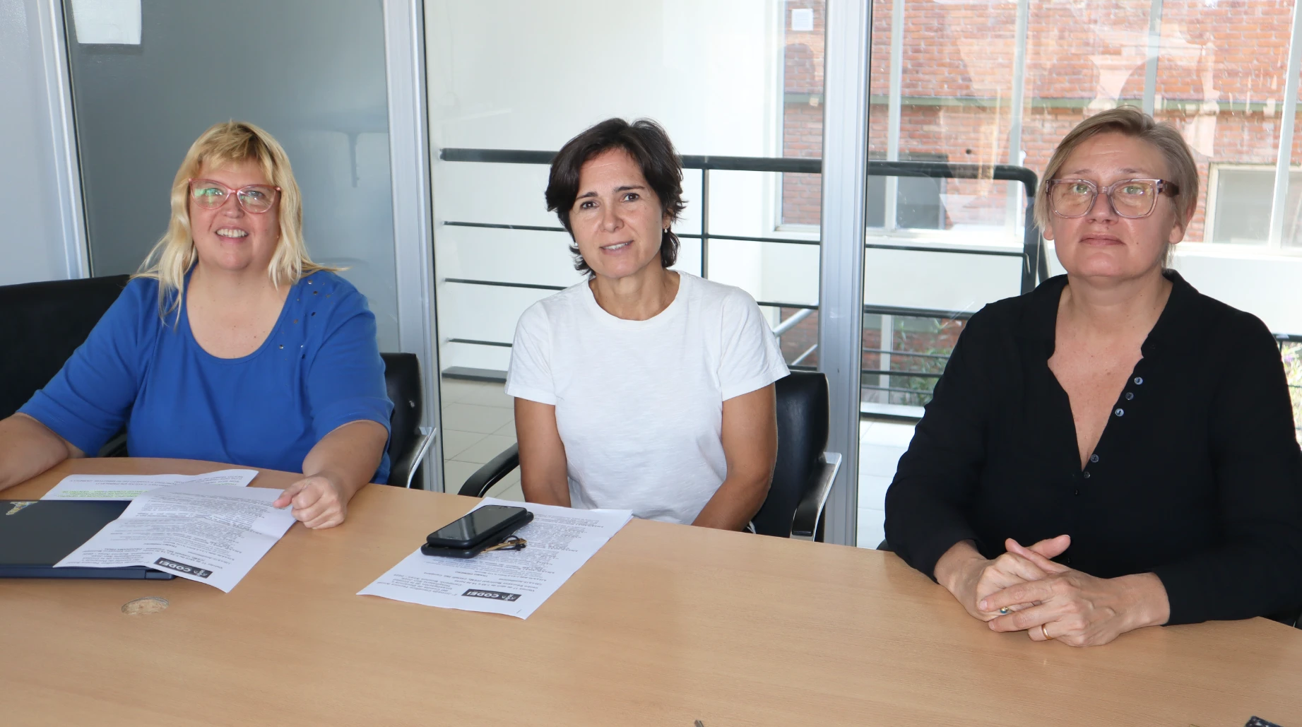 Cómo inscribirse a la 2° Jornada del CODEI sobre salud pública y Ley Micaela en Campana