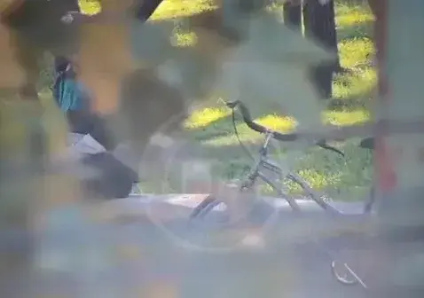 Un delincuente fue interceptado por el COZ tras robar una bicicleta en el centro de Zárate