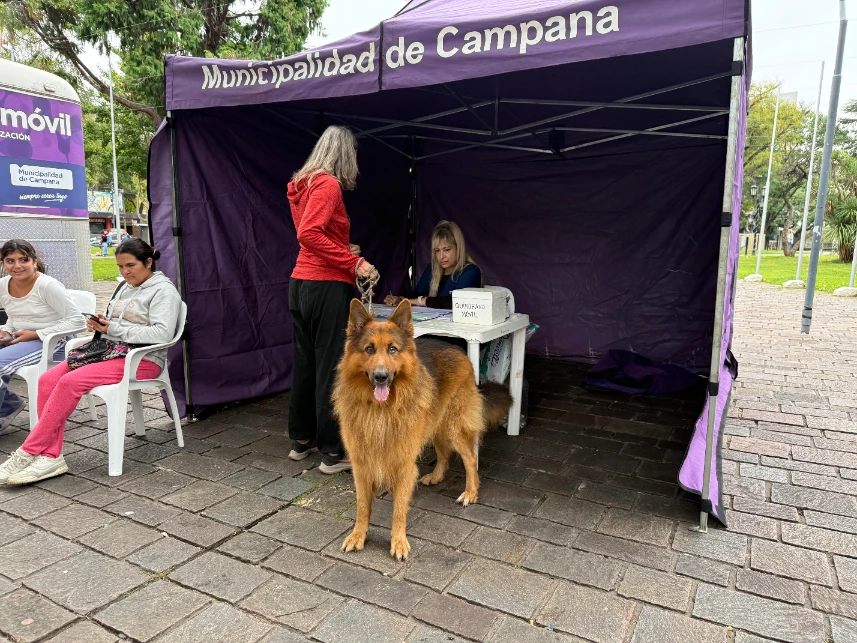 Castración gratuita en Ariel del Plata: ¡Este viernes dan los turnos!