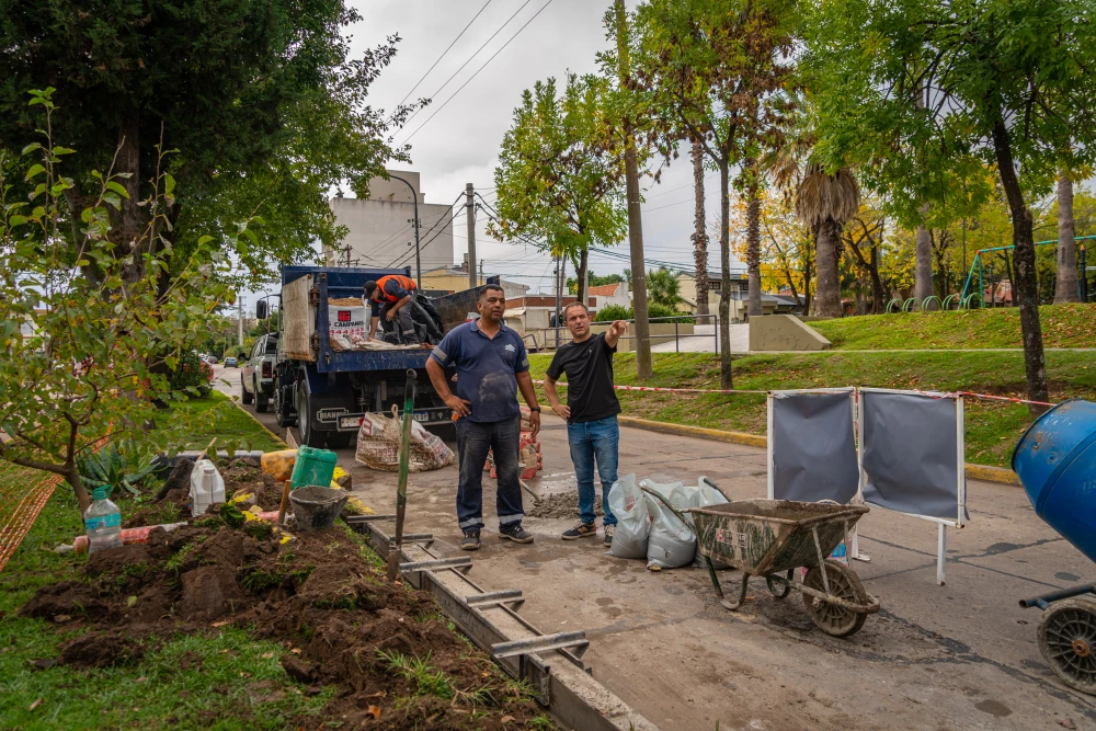 Obras en la avenida Ameghino: Repararán cordones dañados por las raíces de los árboles