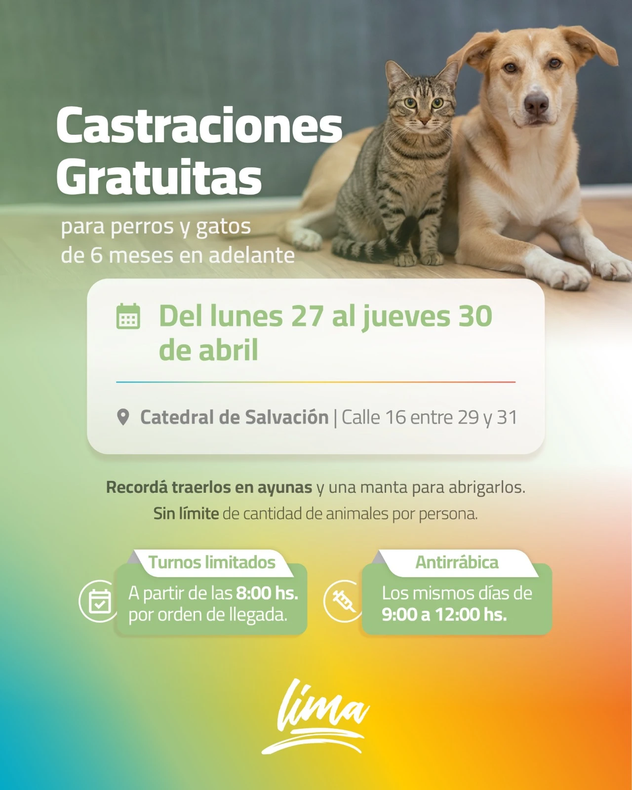Castraciones gratuitas en Lima: Días, horarios y requisitos para el operativo municipal